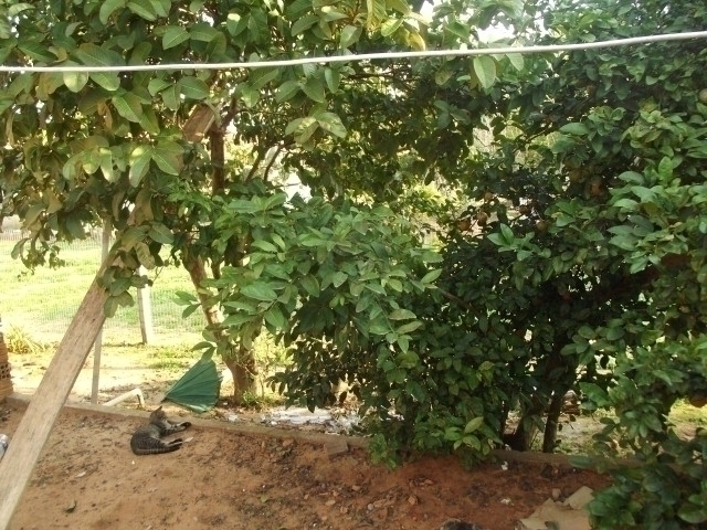 Casa, 2 quartos, 45 m² - Foto 3