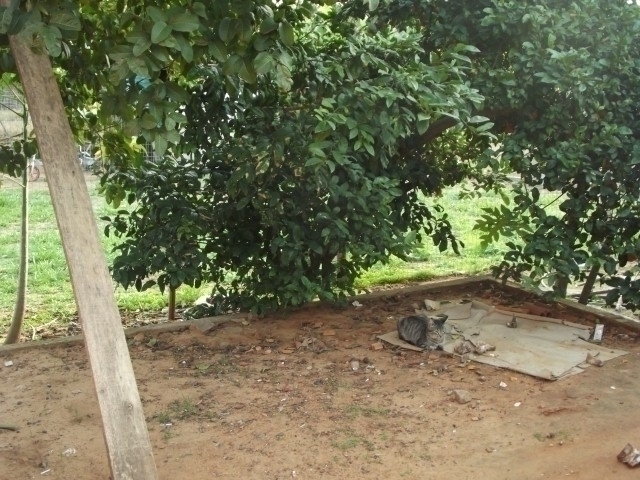 Casa, 2 quartos, 45 m² - Foto 4