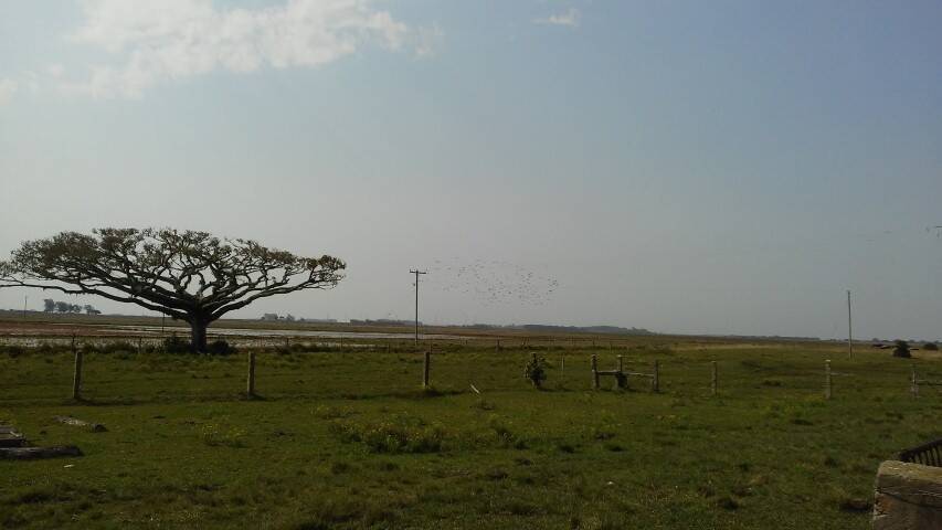 Terreno, 133 m² - Foto 14