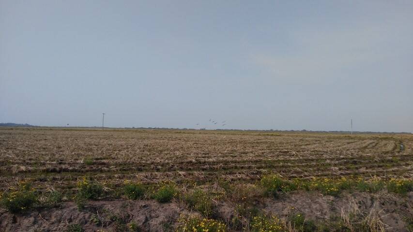 Terreno, 133 m² - Foto 12