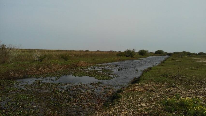 Terreno, 133 m² - Foto 16