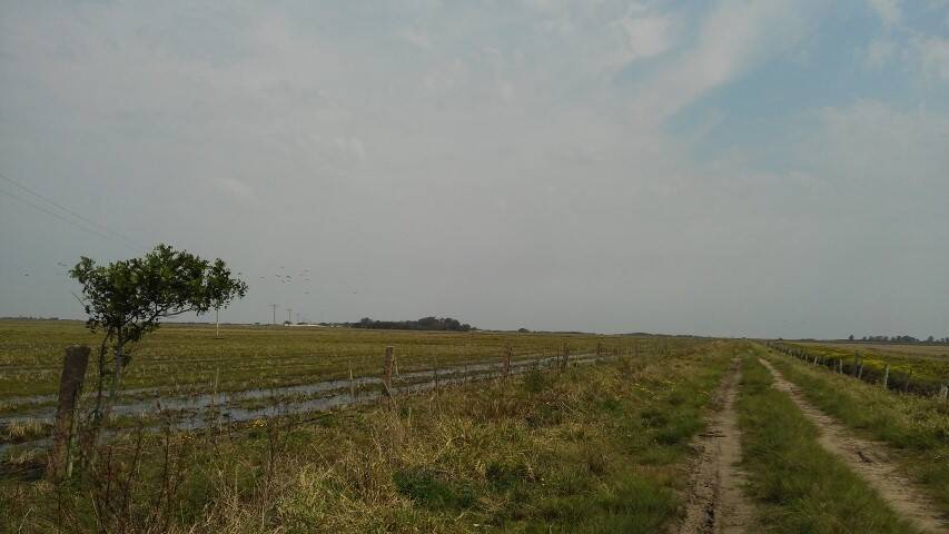 Terreno, 133 m² - Foto 11