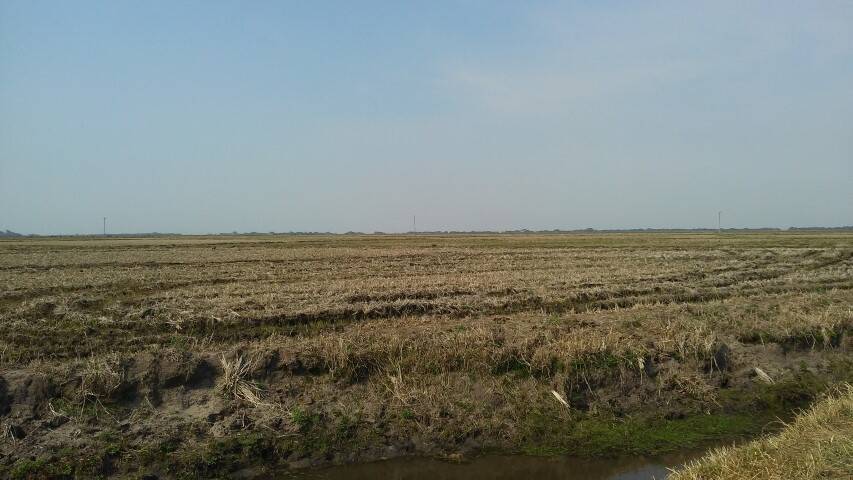 Terreno, 133 m² - Foto 9