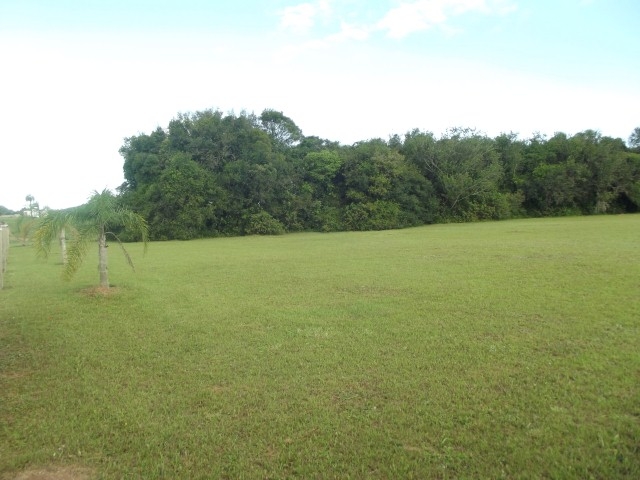 Terreno, 4000 m² - Foto 6