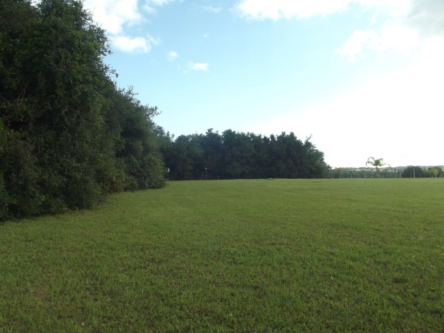 Terreno, 4000 m² - Foto 3