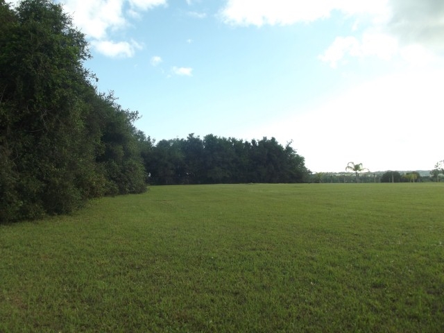 Terreno, 4000 m² - Foto 7