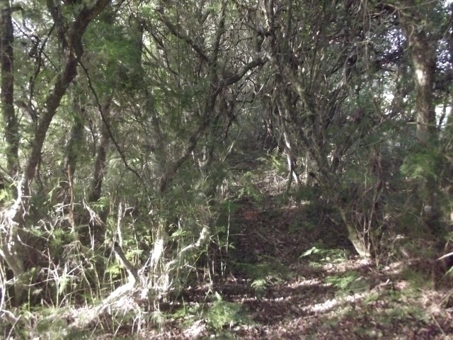 Terreno, 4000 m² - Foto 12