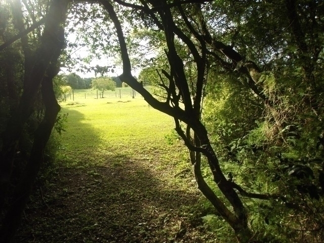 Terreno, 4000 m² - Foto 13