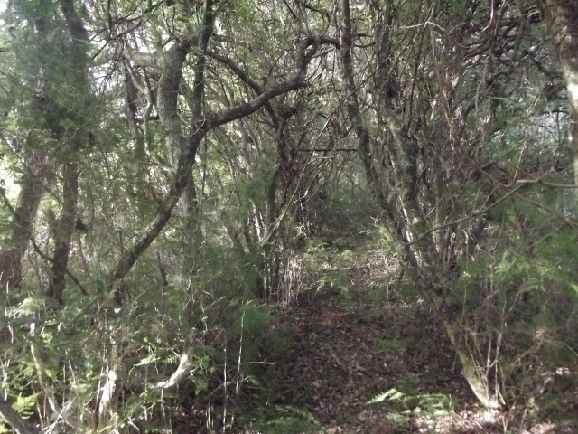 Terreno, 4000 m² - Foto 14