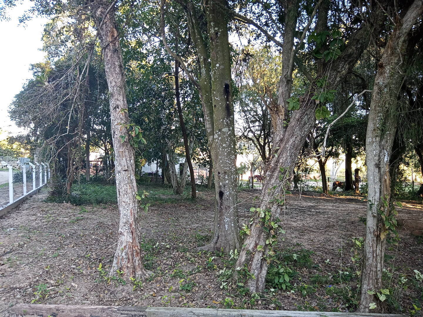 Casa, 2 quartos, 70 m² - Foto 9