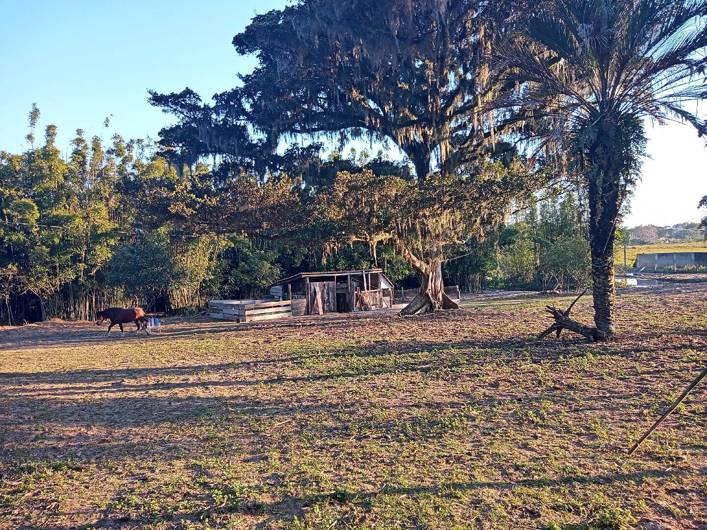 Casa, 2 quartos, 70 m² - Foto 4