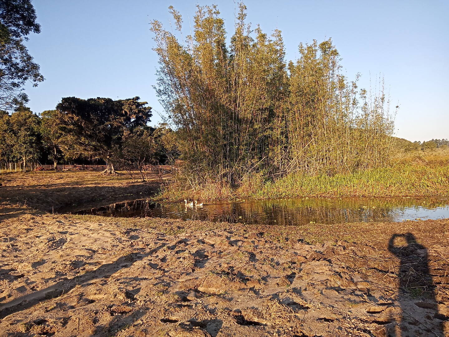 Casa, 2 quartos, 70 m² - Foto 27