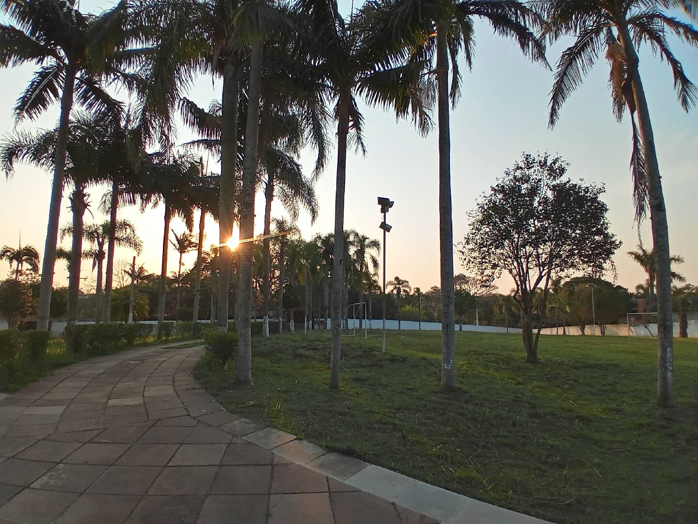 Casa, 5 quartos, 735 m² - Foto 14