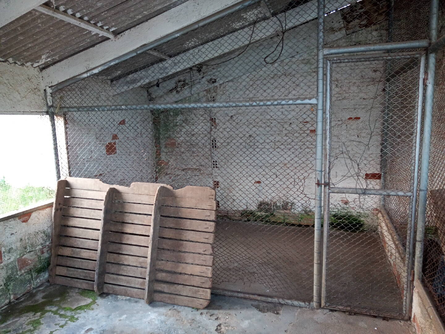 Casa, 5 quartos, 735 m² - Foto 66