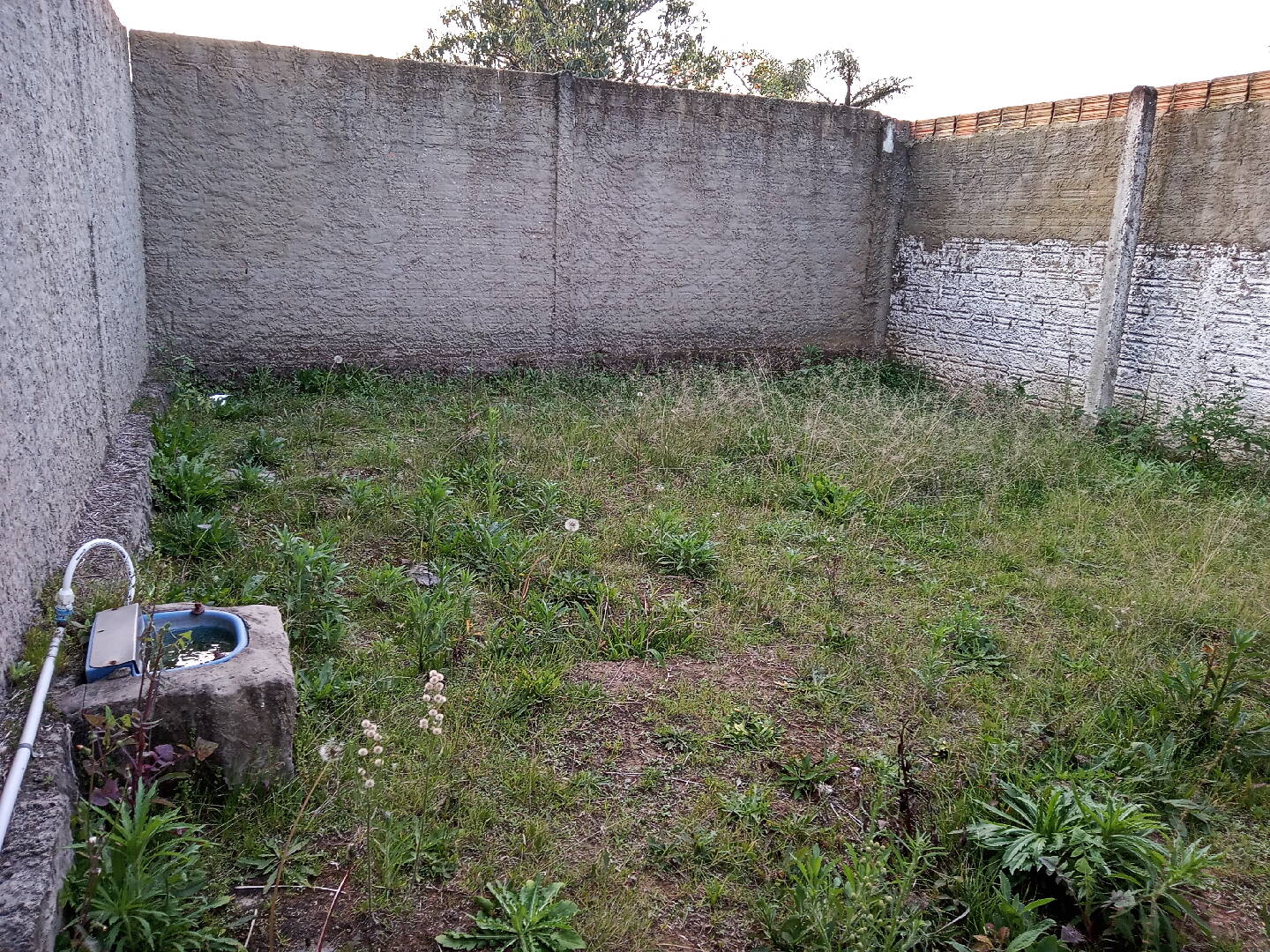 Casa, 5 quartos, 735 m² - Foto 67