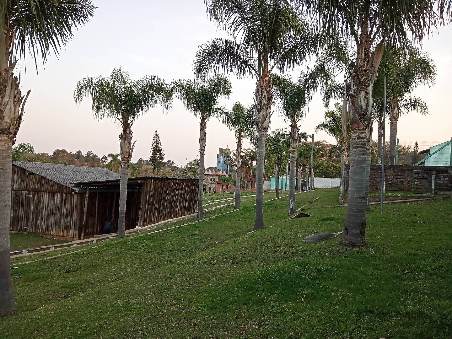 Casa, 5 quartos, 735 m² - Foto 69