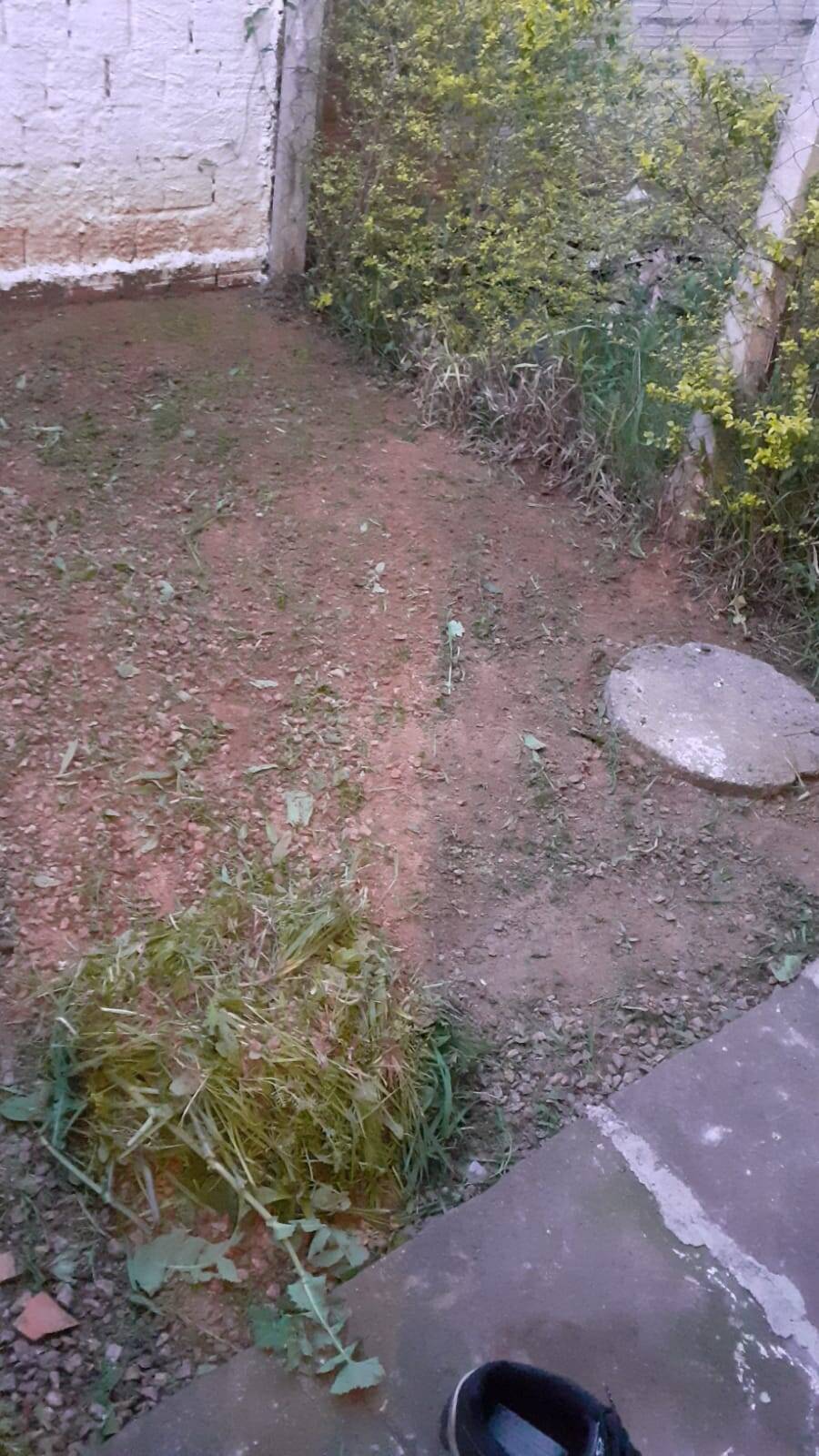 Casa, 2 quartos, 46 m² - Foto 6