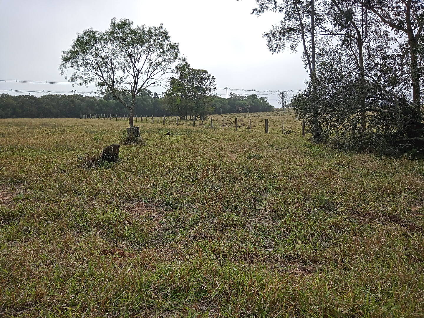 Terreno, 713 m² - Foto 2