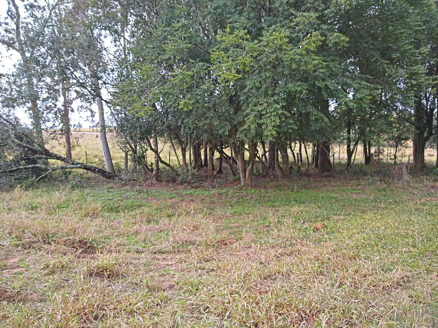 Terreno, 713 m² - Foto 3