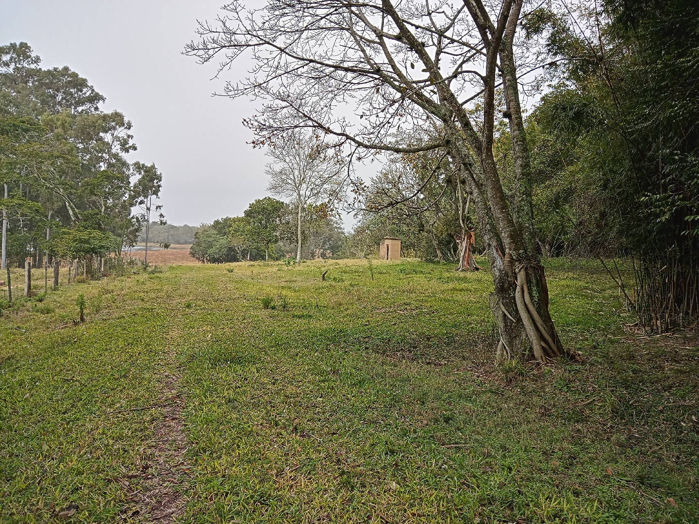 Terreno, 713 m² - Foto 4