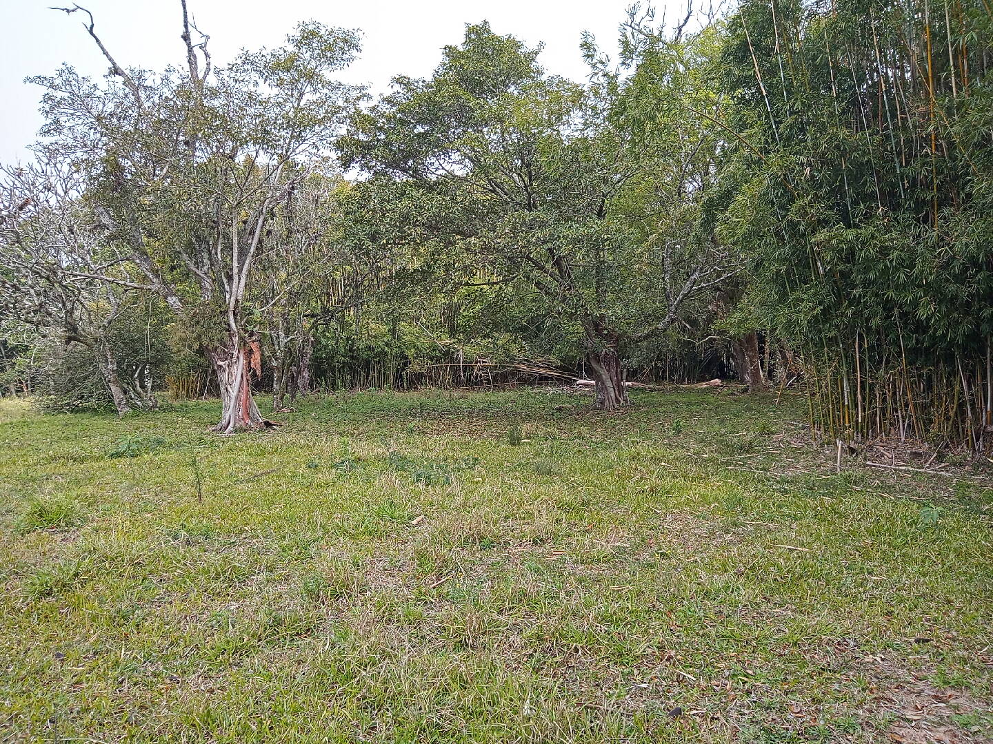 Terreno, 713 m² - Foto 5