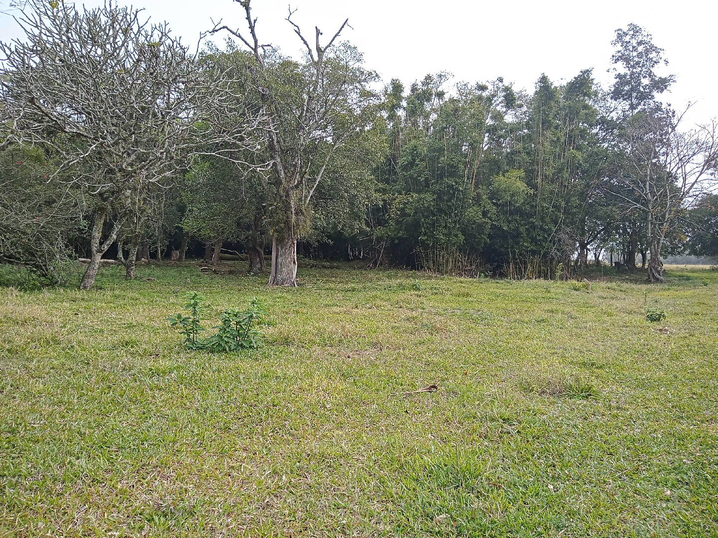 Terreno, 713 m² - Foto 6