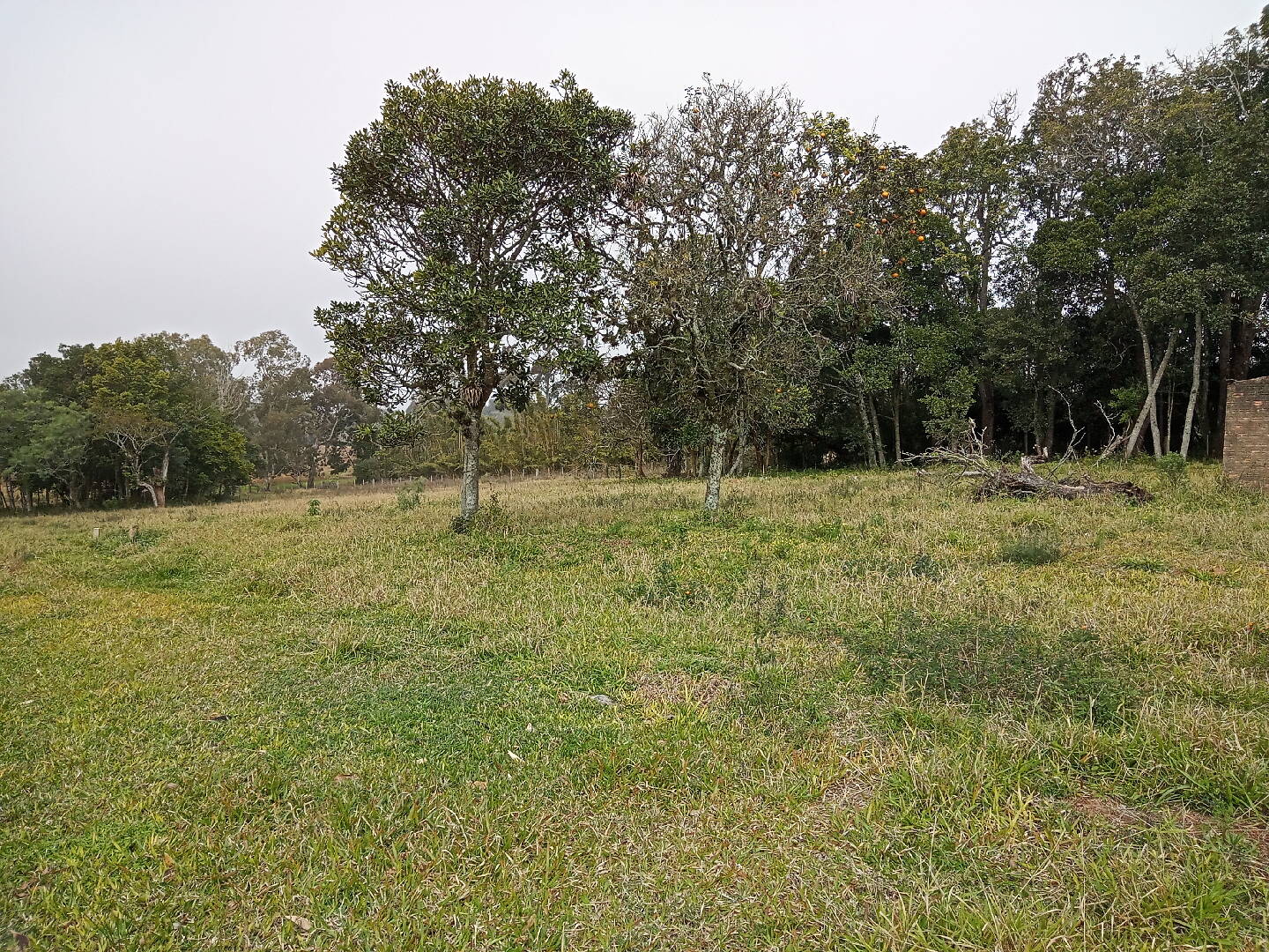 Terreno, 713 m² - Foto 7