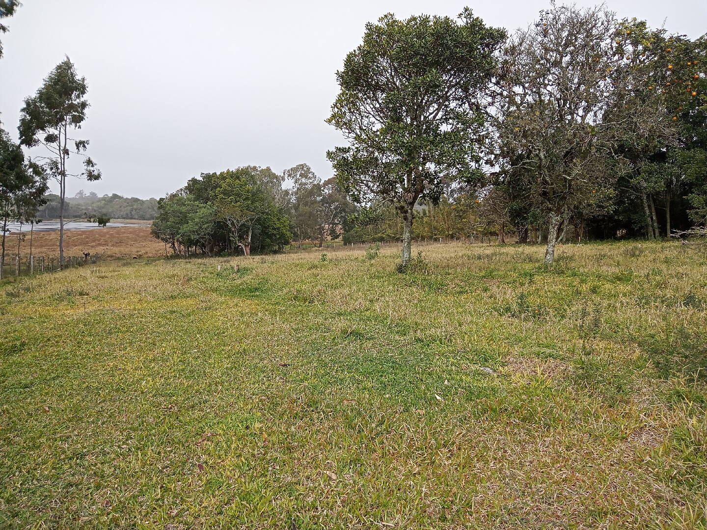 Terreno, 713 m² - Foto 8