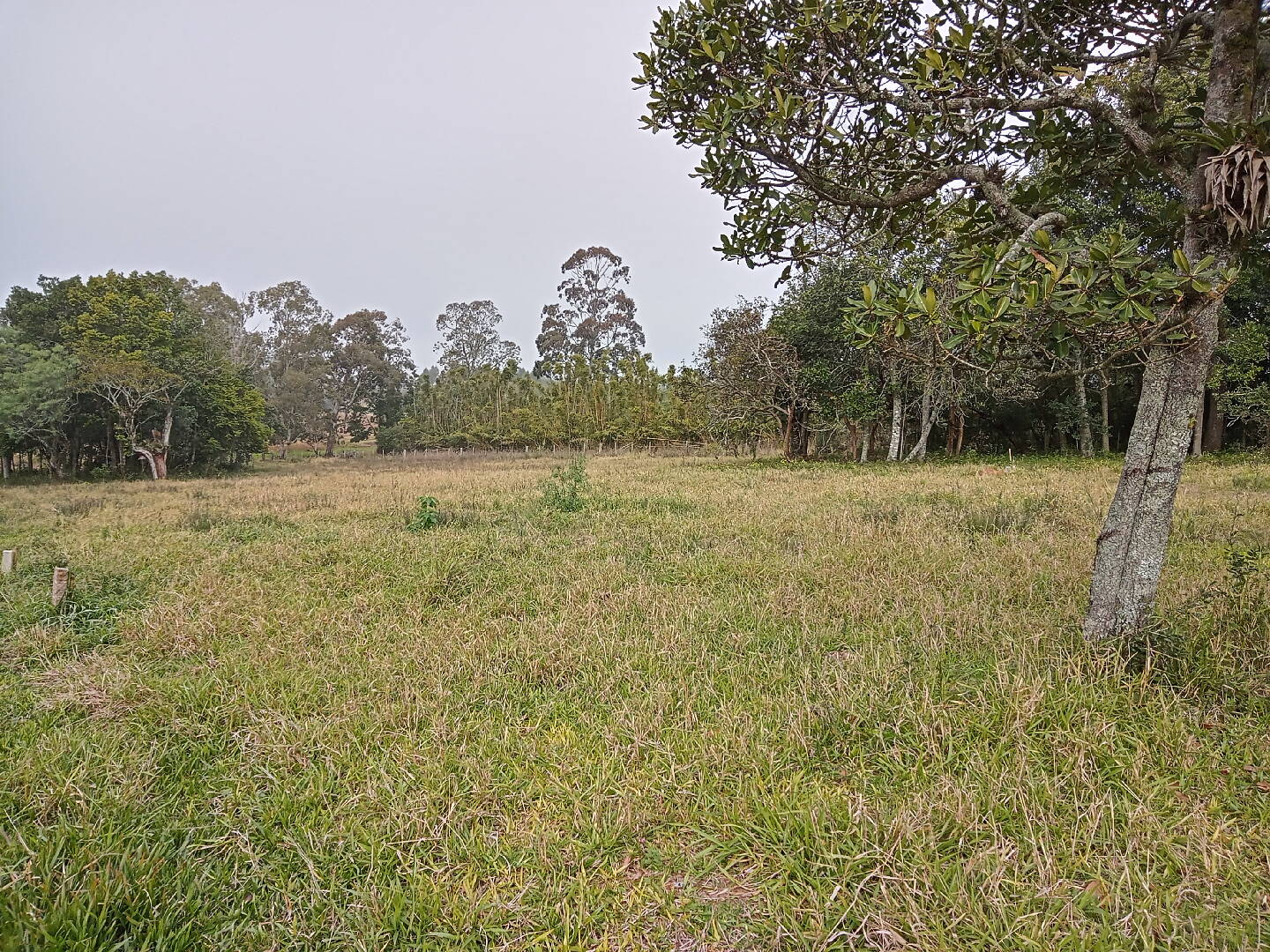 #ACL042 - Terreno fora de condomínio para Venda em Viamão - RS