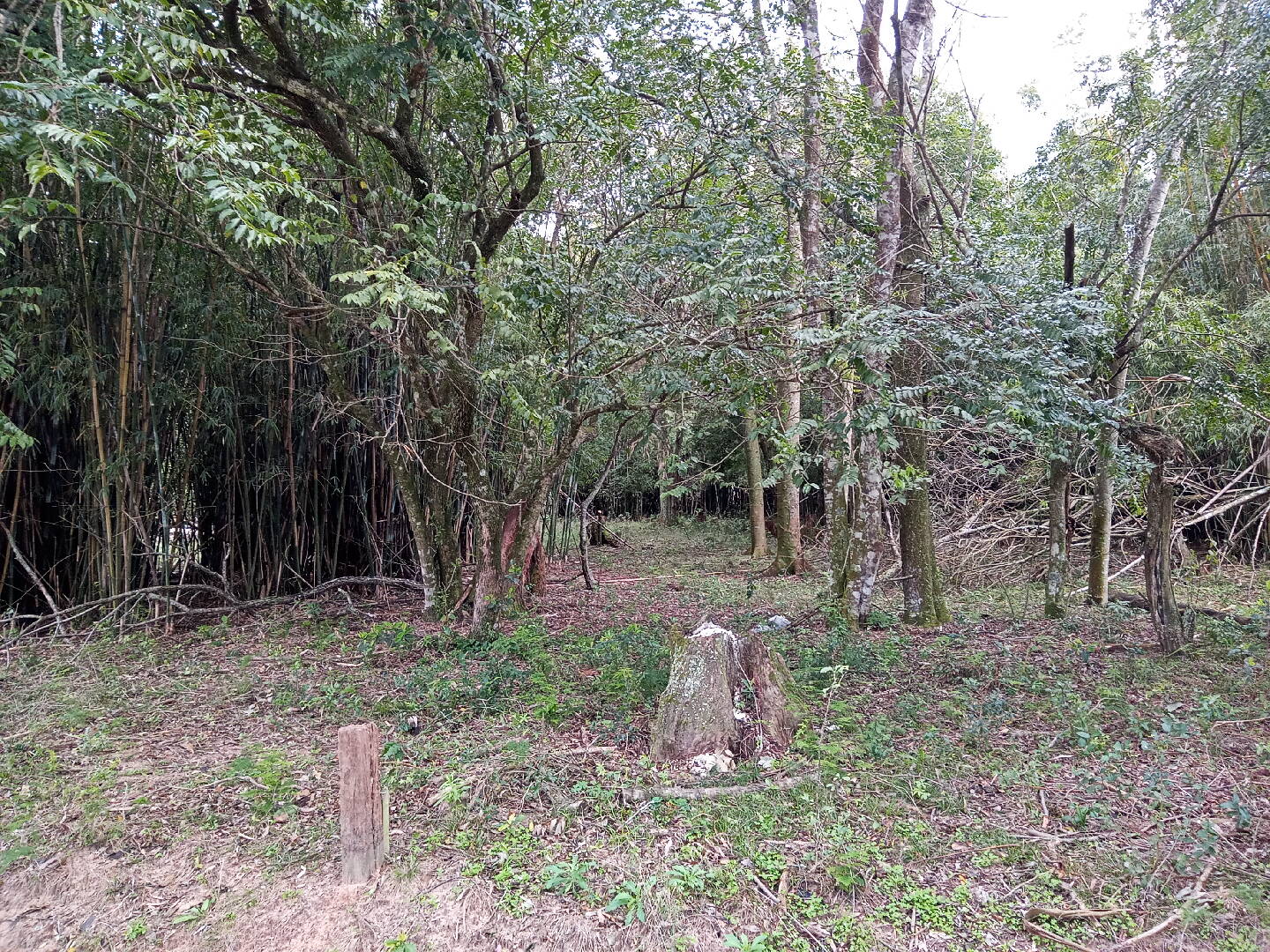 Terreno, 713 m² - Foto 9