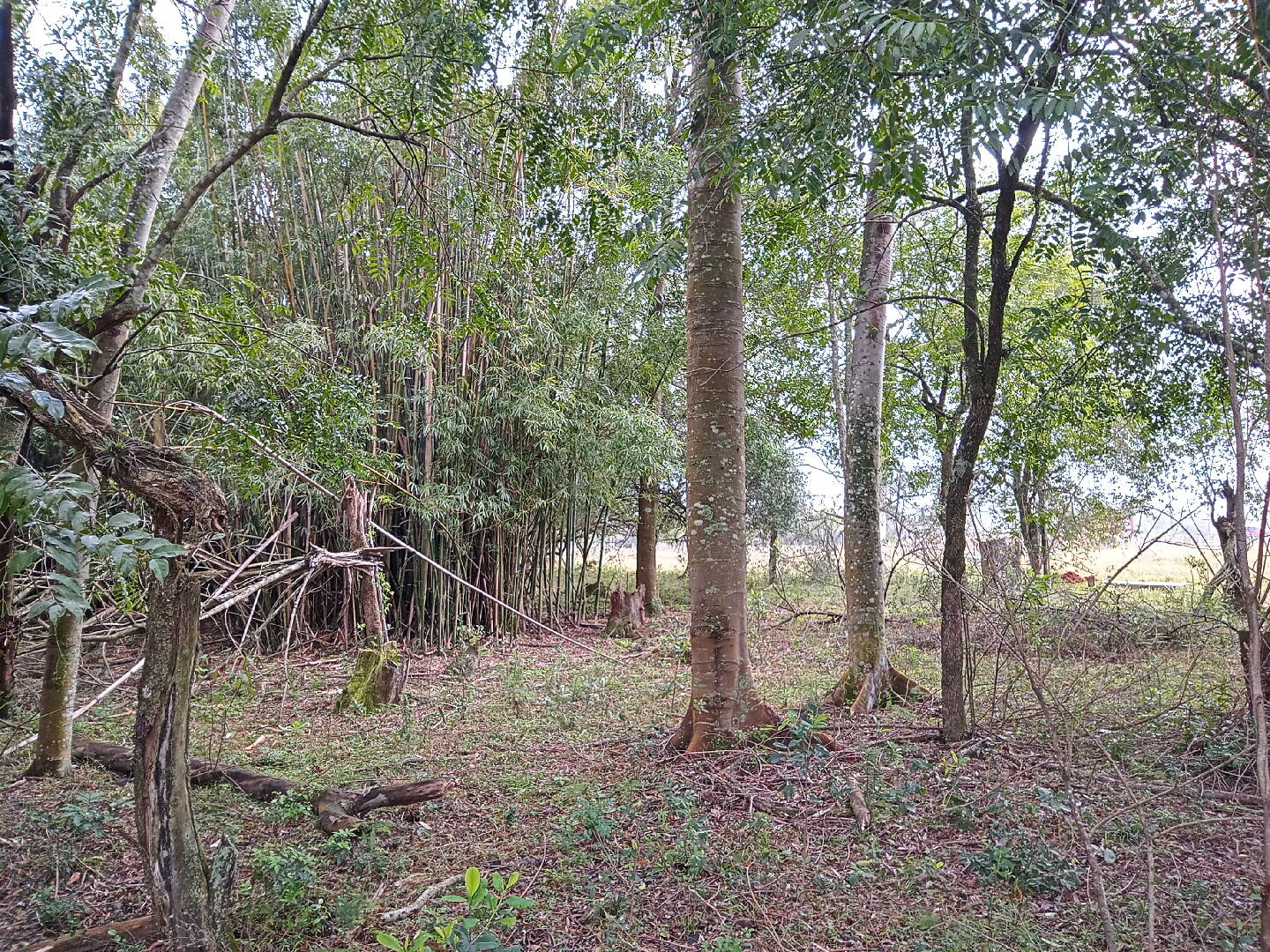 Terreno, 713 m² - Foto 10