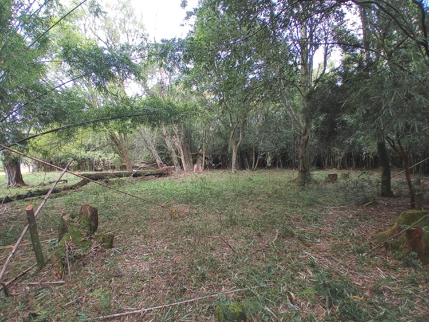 Terreno, 713 m² - Foto 11