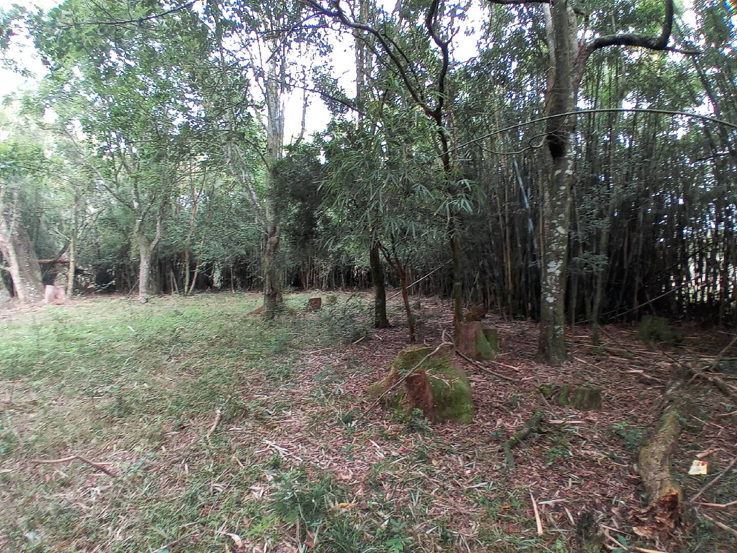 Terreno, 713 m² - Foto 12