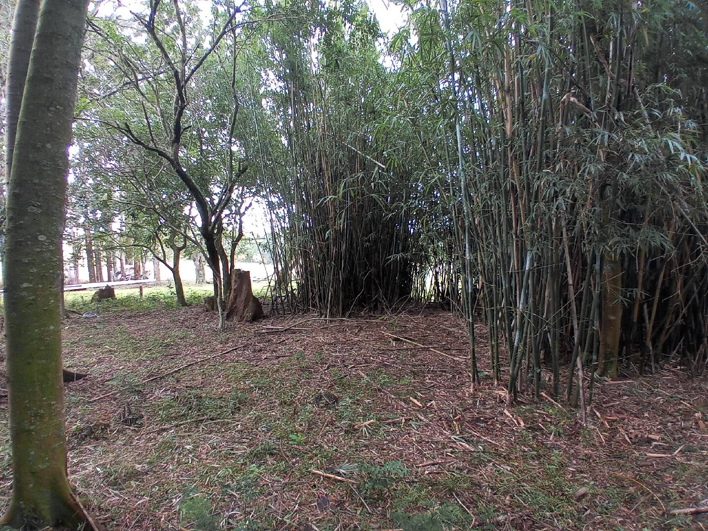 Terreno, 713 m² - Foto 13