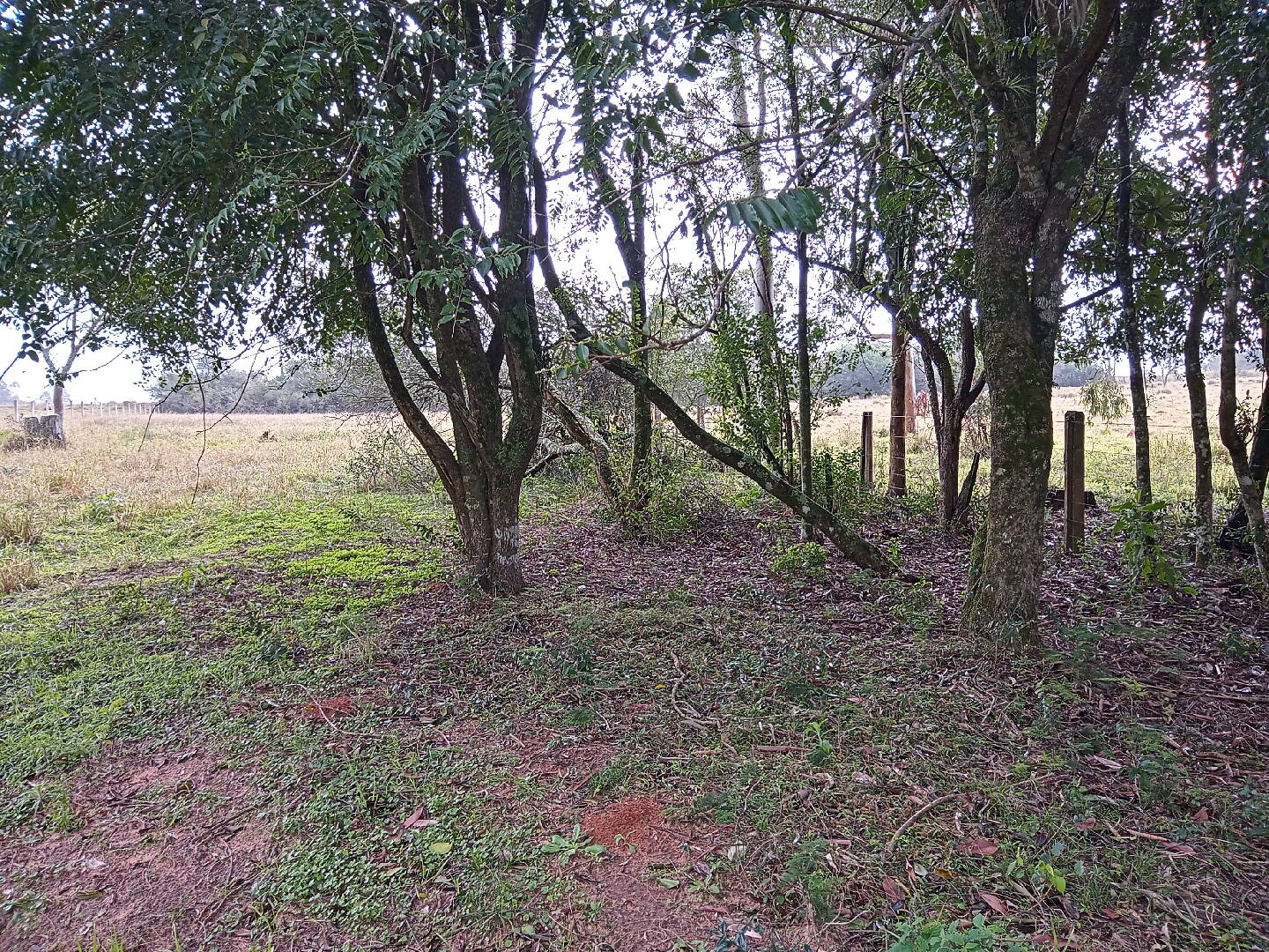 Terreno, 713 m² - Foto 14