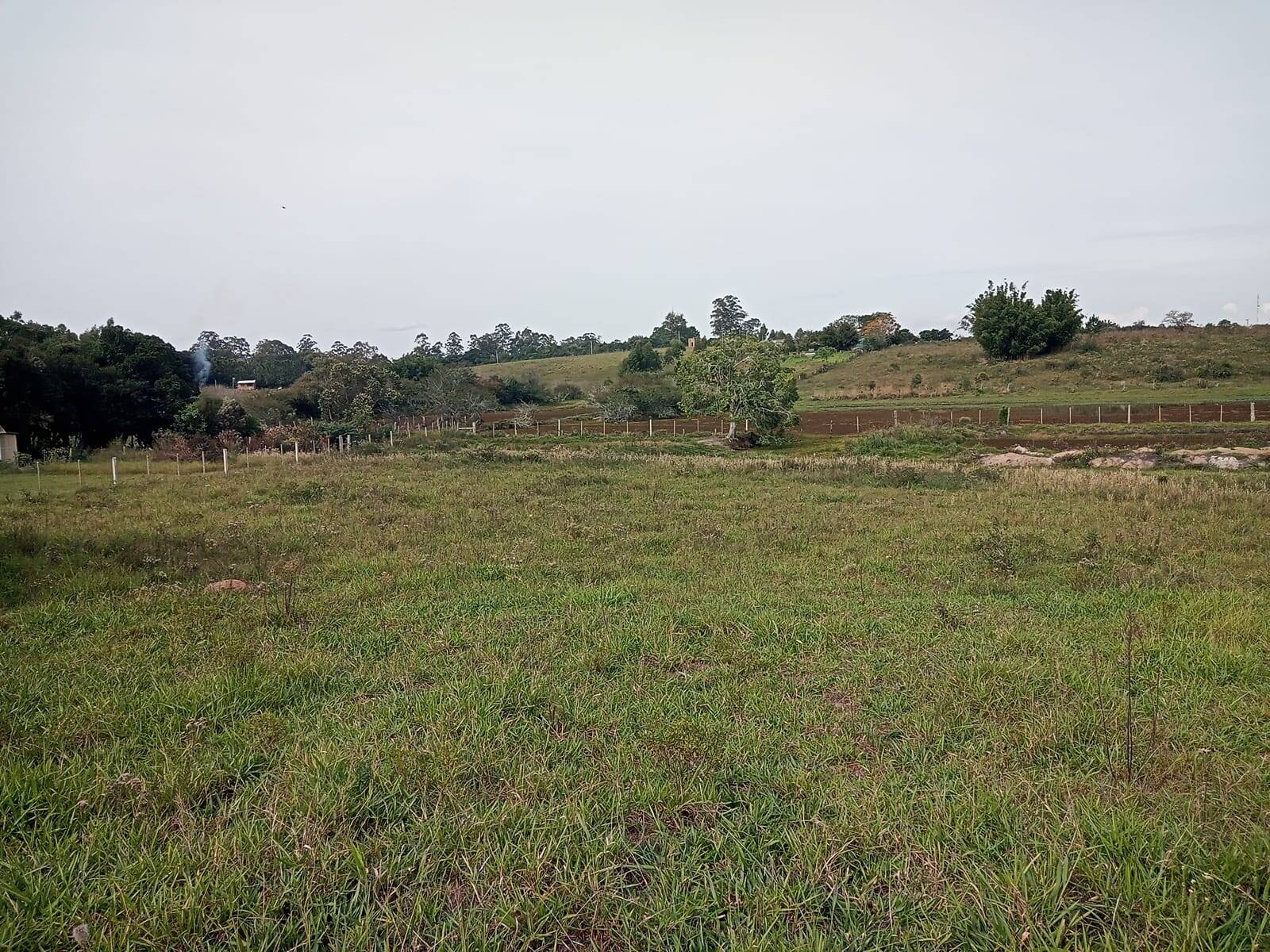 Terreno, 10000 m² - Foto 8