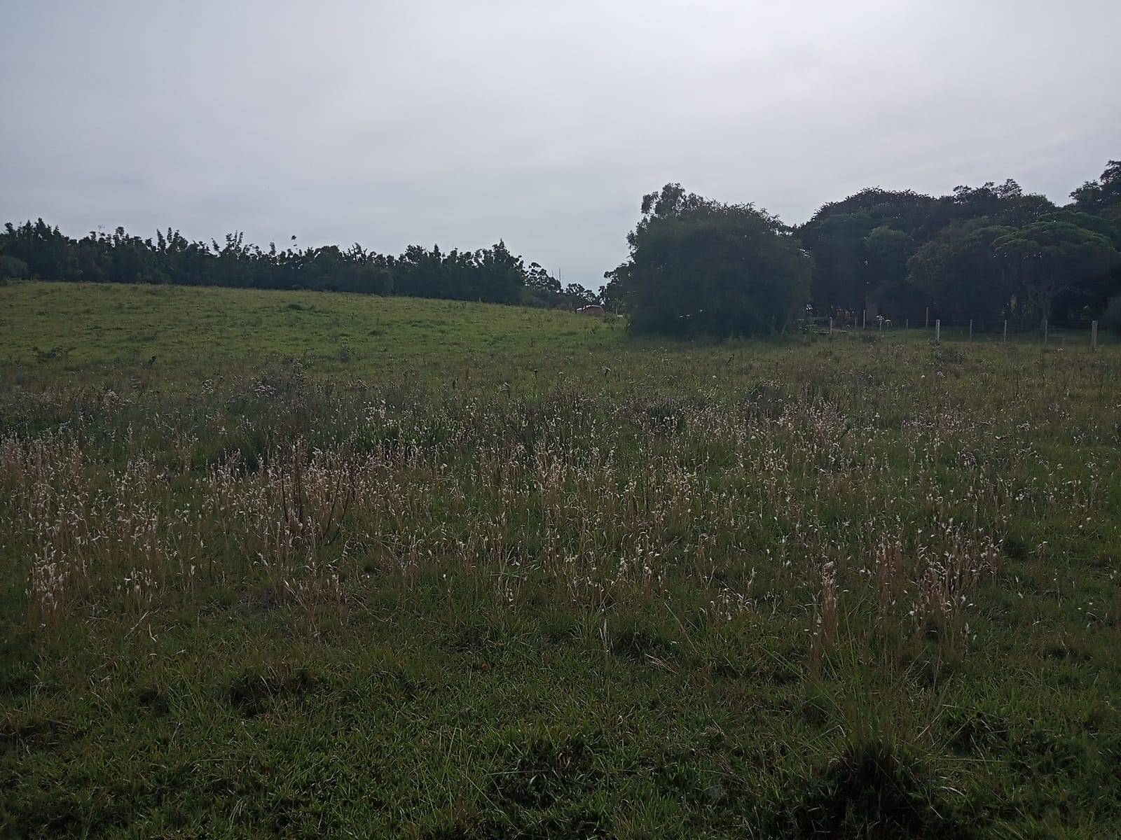 Terreno, 10000 m² - Foto 7