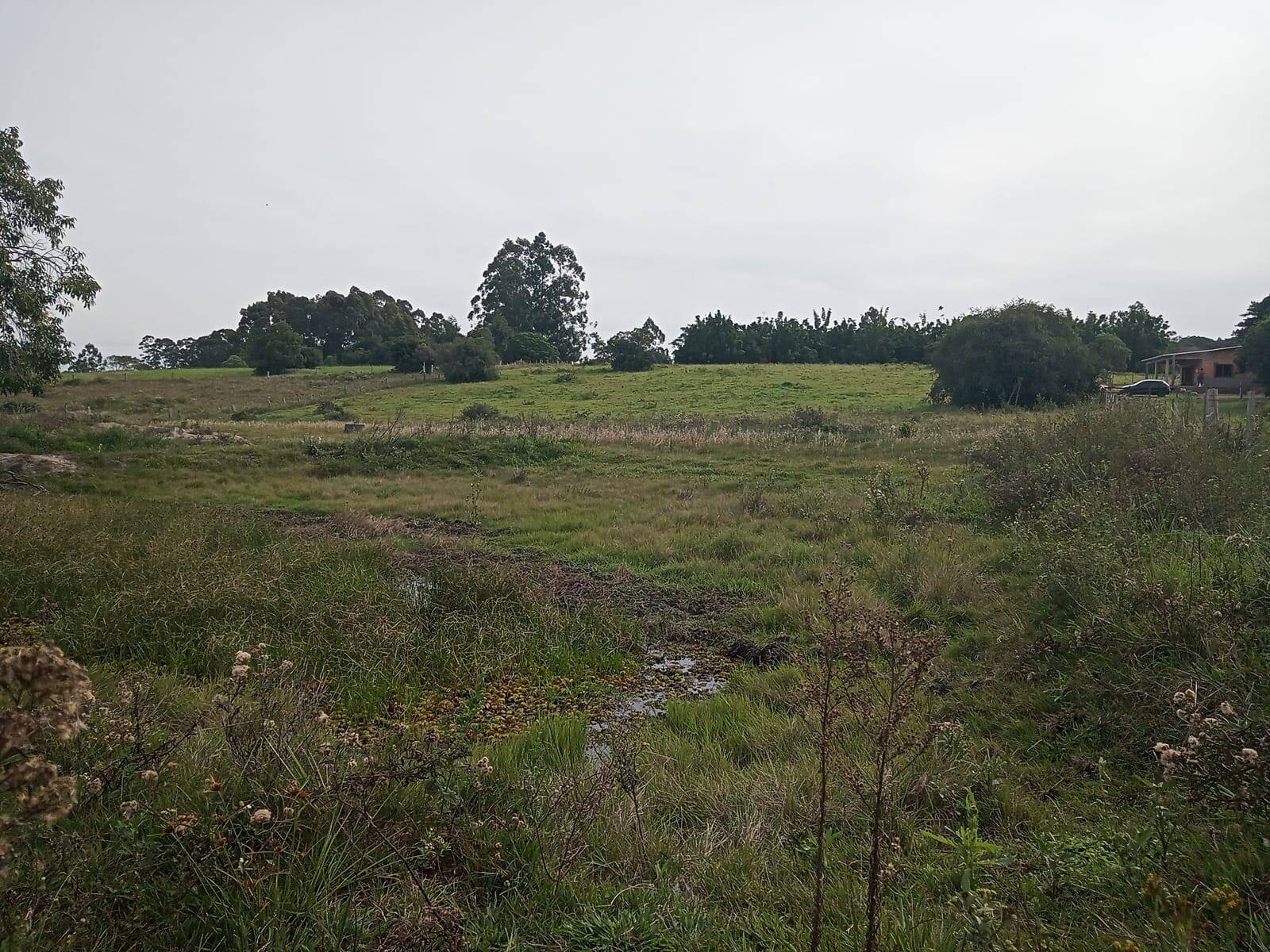 Terreno, 10000 m² - Foto 9