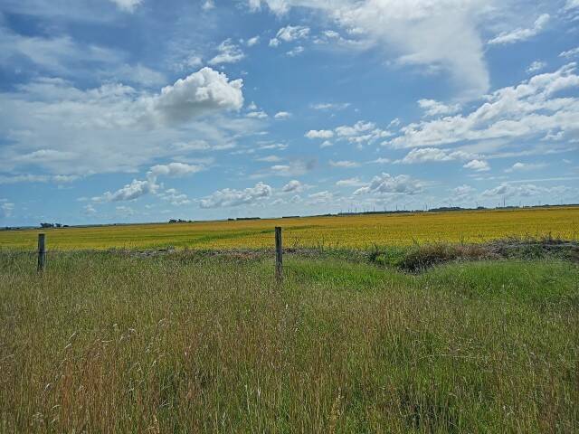 Terreno, 133 m² - Foto 2