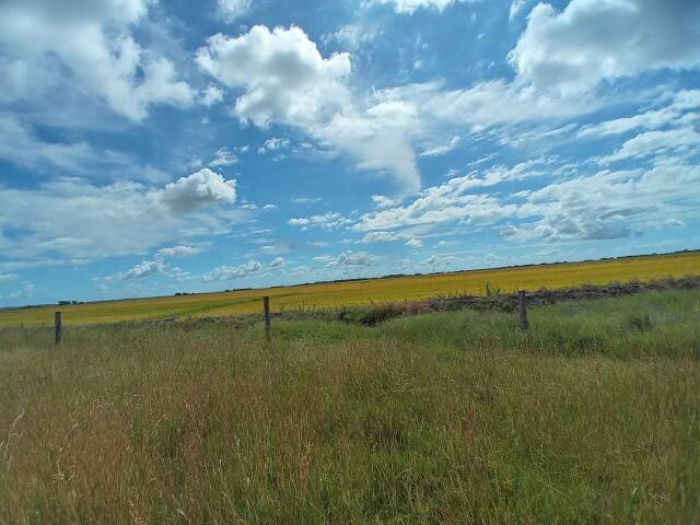 Terreno, 133 m² - Foto 10