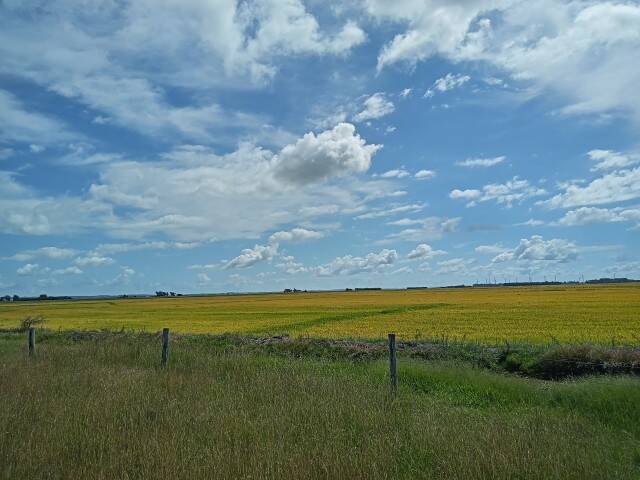 #FZD005 - Fazenda para Venda em Viamão - RS