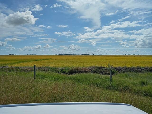 Terreno, 133 m² - Foto 8