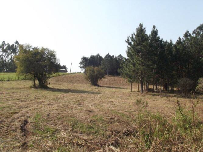 Terreno, 8 hectares - Foto 5