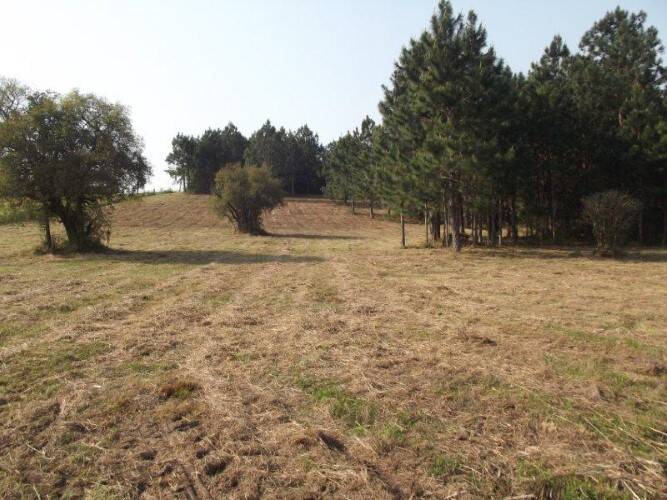 Terreno, 8 hectares - Foto 6