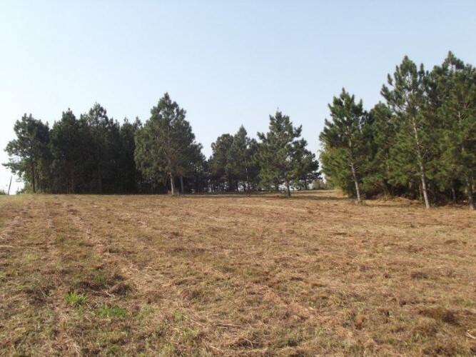 Terreno, 8 hectares - Foto 3