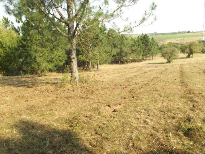 Terreno, 8 hectares - Foto 9