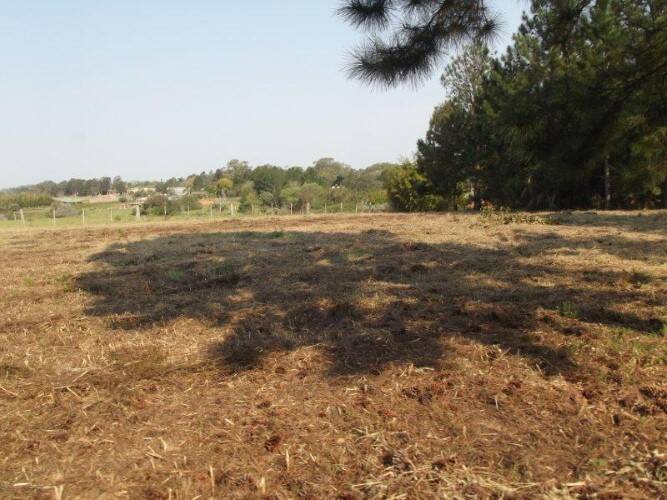 Terreno, 8 hectares - Foto 4