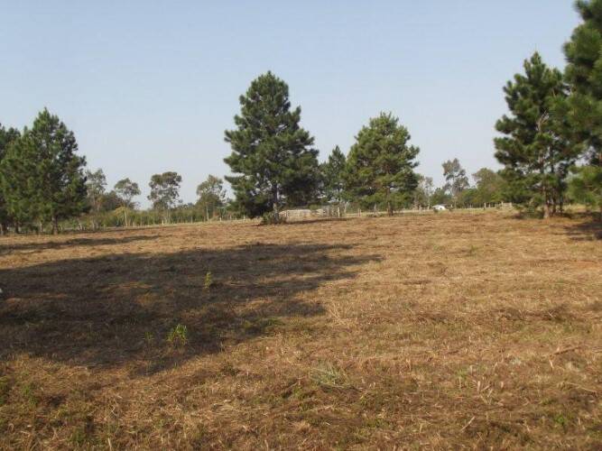 Terreno, 8 hectares - Foto 14