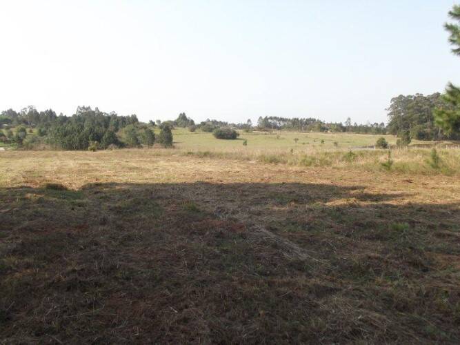 Terreno, 8 hectares - Foto 2