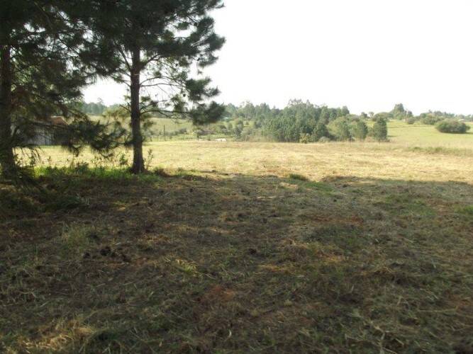 Terreno, 8 hectares - Foto 16